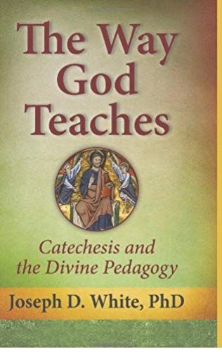 The Way God Teaches: Catechesis And The Divine Pedagogy