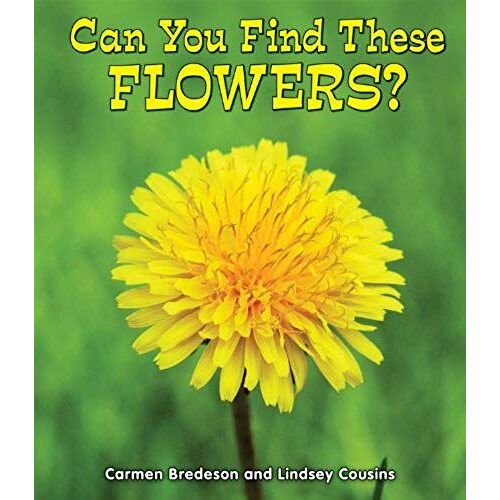 Can You Find These Flowers?