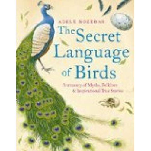 Secret Language Of Birds