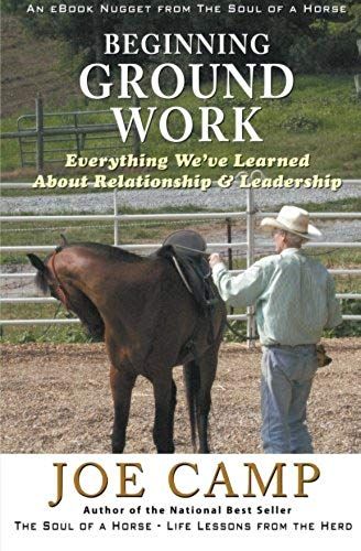 Beginning Ground Work
