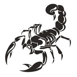 Autocollants De Voiture De Style Scorpion 3d, Décalcomanies En Vinyle Pour Bmw Et Kia, Accessoires Extérieurs D'automobiles, Mignons, Hurcycles