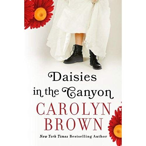 Daisies In The Canyon
