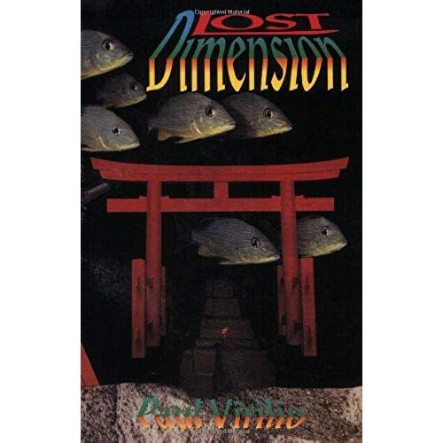 Lost Dimension