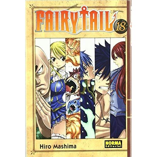 Fairy Tail 18