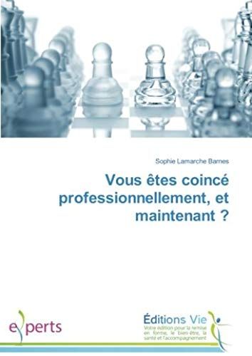 Vous Êtes Coincé Professionnellement, Et Maintenant ?