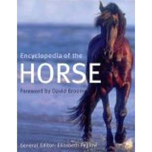 Encyclopedia Of The Horse