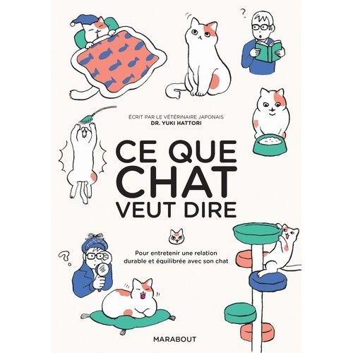 Ce Que Chat Veut Dire - Pour Entretenir Une Relation Durable Et Équilibrée Avec Son Chat