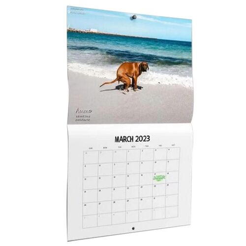 Pooches ¿ calendrier mural brillant pour chien, cadeau pour amis, famille, voisins, collègues, parents, Pooping, 2023
