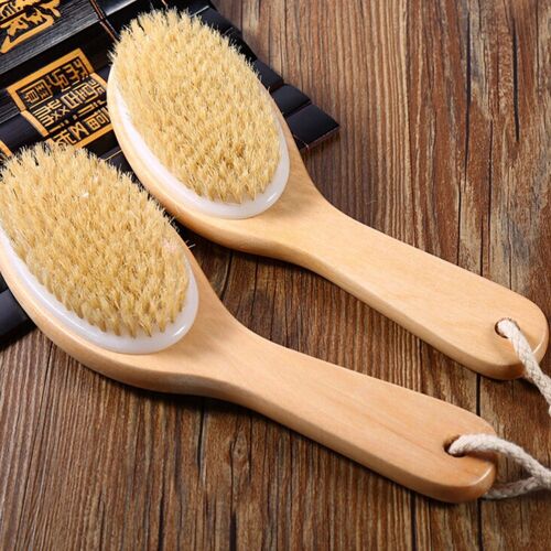 Brosse De Bain À Poils Naturels, Exfoliante, Massage Du Corps En Bois, Douche, Spa, Soins De La Peau, Pour Femmes Et Hommes, Pour Corps Sec 