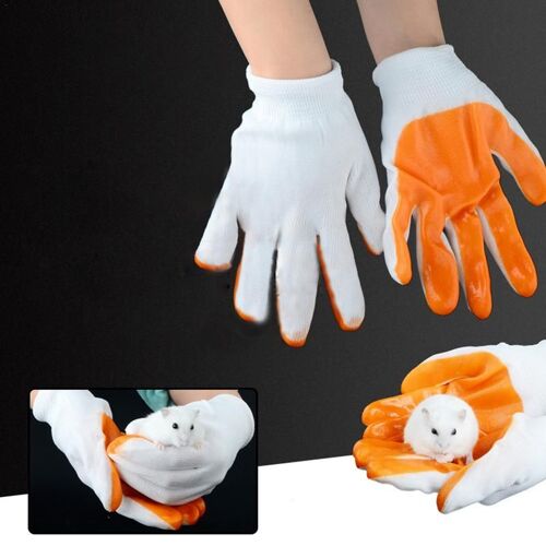 Gants Anti-Morsure Pour Petits Animaux De Compagnie, Protection Des Mains, Anti-Morsure, Hamster, Lapin, Chinchillas, Cochons D'inde
