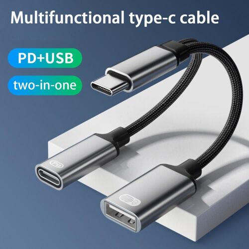 2 En 1 Usb-C Chargeur Câble Audio Patch Rette Plug Matchs Play Charge Téléphone Intelligent Shunting Usb Multi Chargeur Câble