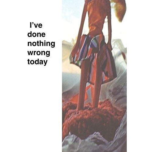 I've Done Nothing Wrong Today