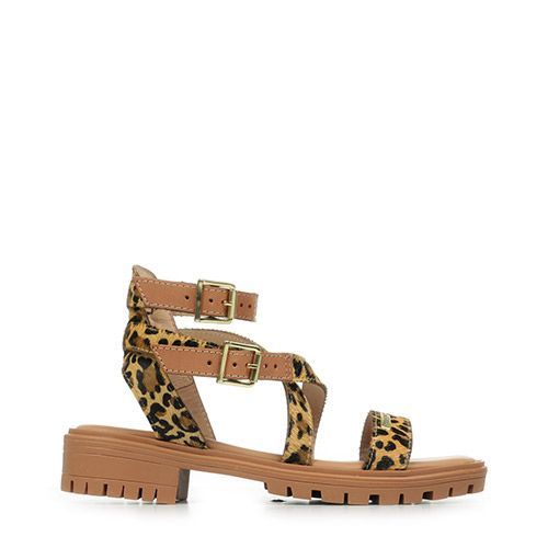 Les Tropéziennes By M Belarbi Hursulapo