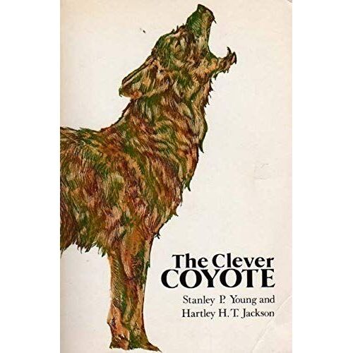 The Clever Coyote