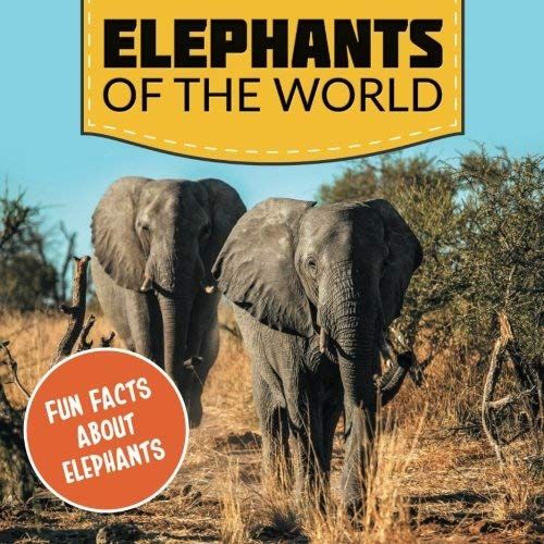 Elephants Of The World