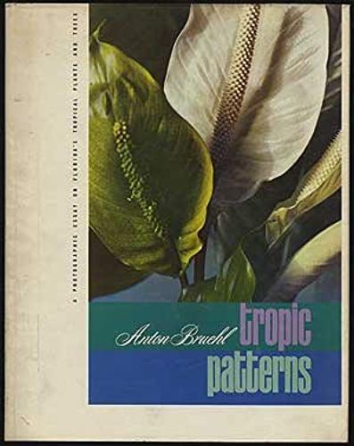 Tropic Patterns (Tropical Plant Portrait Photography)