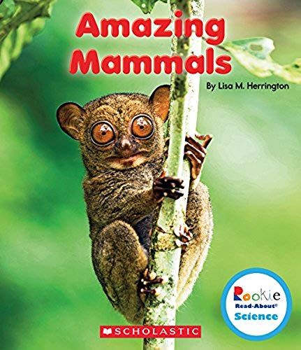 Amazing Mammals (Rookie Read-About Science: Strange Animals) (Library Edition)
