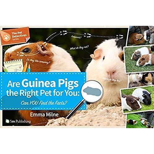Are Guinea Pigs The Right Pet For You