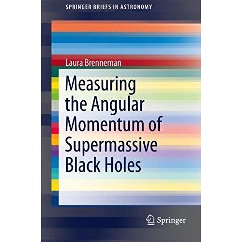 Measuring The Angular Momentum Of Supermassive Black Holes