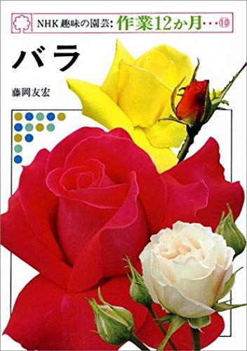10 Months Rose Gardening Work 12 Nhk Hobby (1976) Isbn: 4140400315 [Japanese Import]