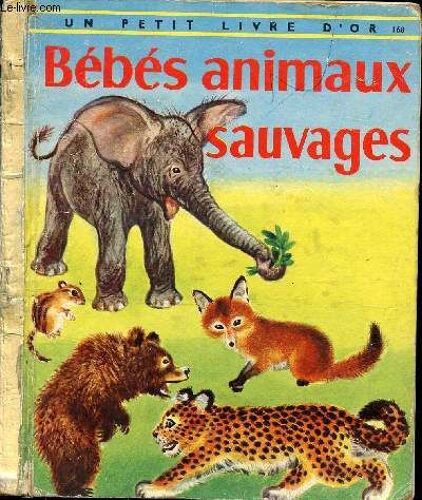 Bébés Animaux Sauvages - Un Petit Livre D Or N°168