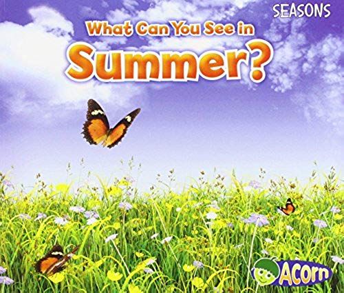 What Can You See In Summer?