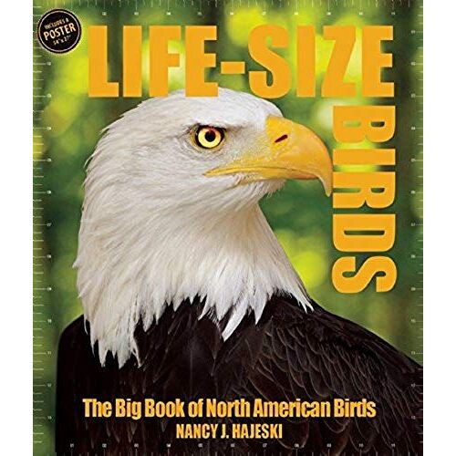 Life-Size Birds: The Big Book Of North American Birds