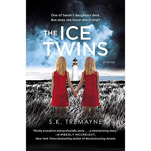 The Ice Twins