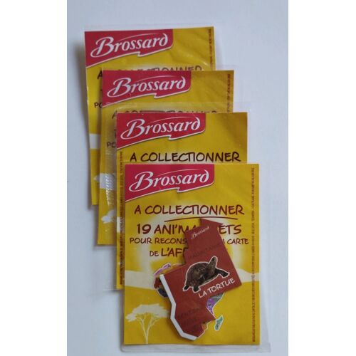 Ani'magnet Brossard : La Tortue