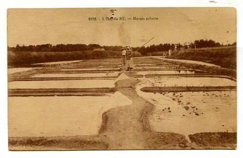 Carte Postale - Les Marais Salants - Ile De Ré - Charente-Maritime - 17