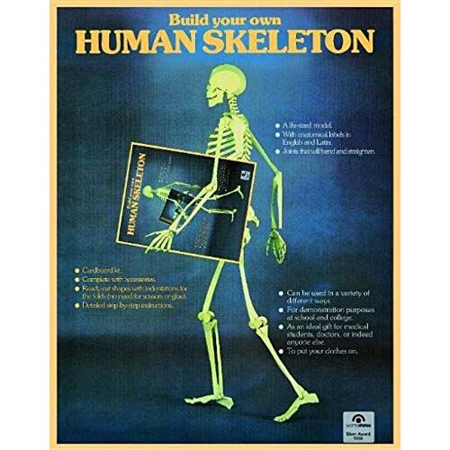 Build Your Own Human Skeleton