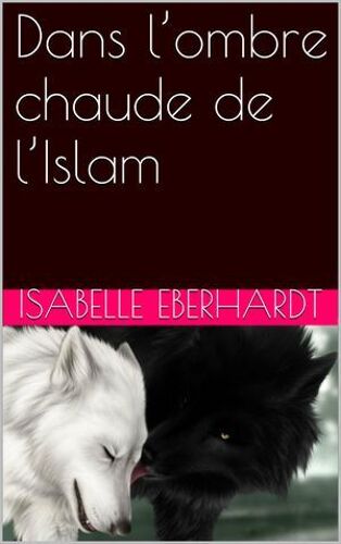 Dans L'ombre Chaude De L'islam