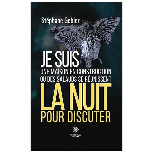 Je Suis Une Maison En Construction Où Des Salauds Se Réunissent La Nuit Pour Discuter