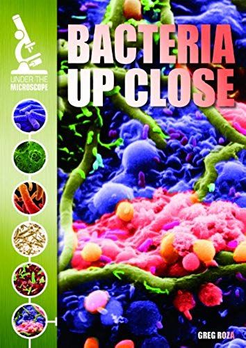 Bacteria Up Close