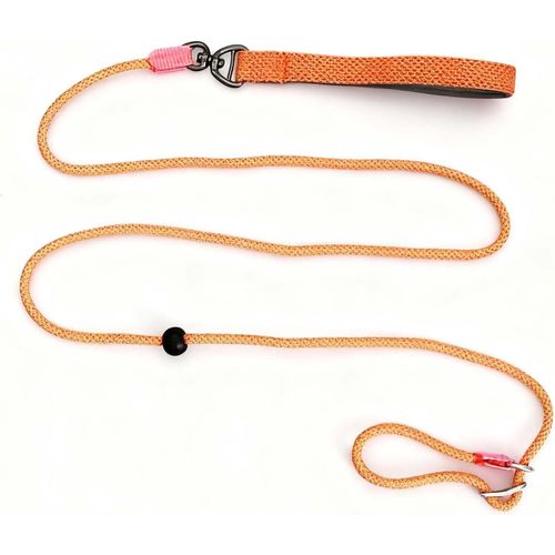 Cmjaagur-Laisse Chien Anti Traction 180 Cm X 6 Mm, Laisse Lasso Pour Chiens Petits, Moyens Et Grands, Longe Pour Chien Réglable, Souple Et Résistante[M277]