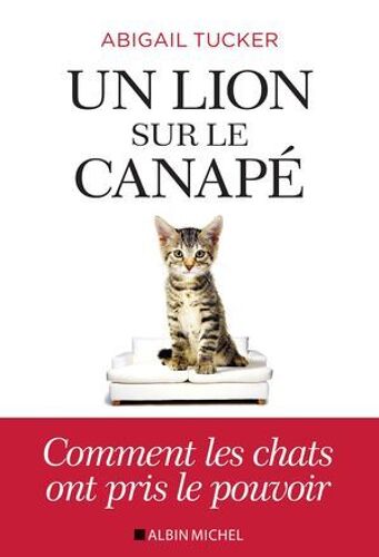 Un Lion Sur Le Canapé
