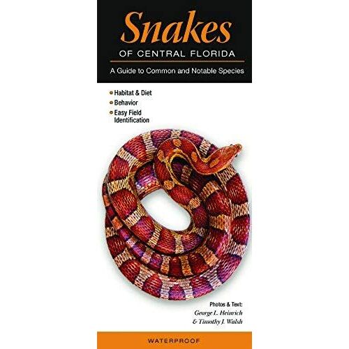 Snakes Of Central Florida: A Guide To Common & Notable Species (Quick Reference Guides)