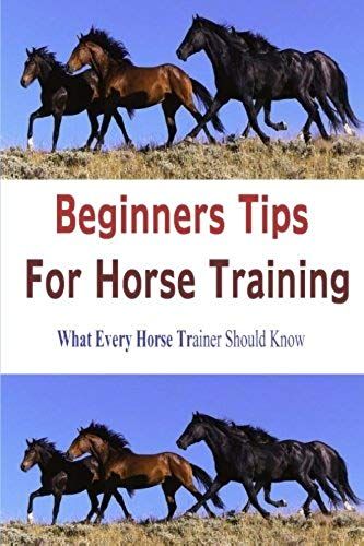Beginners Tips For Horse Training