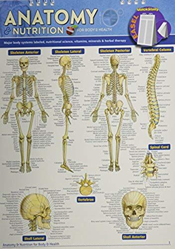 Anatomy & Nutrition For Body & Health Easel Book: A Quickstudy Reference Tool With Major Body Systems Labeled, Nutritional Science, Vitamins, Minerals