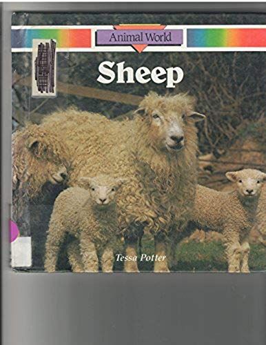 Sheep (Animal World)