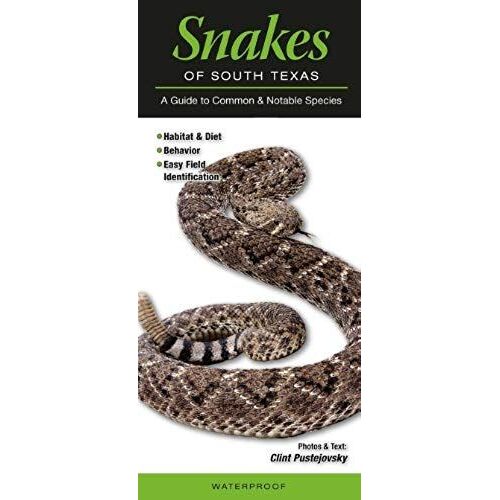 Snakes Of South Texas