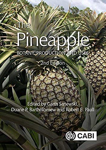 The Pineapple