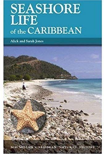 Seashore Life Of The Caribbean
