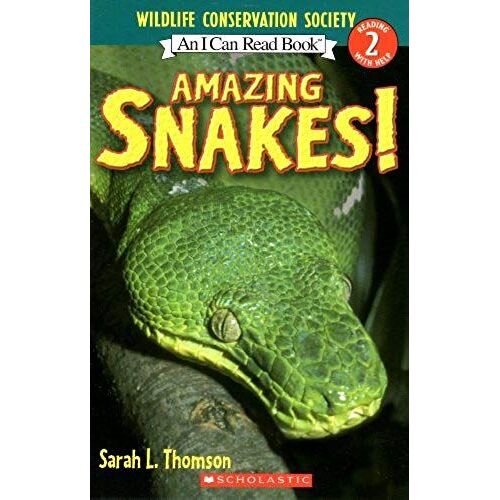 Amazing Snakes!