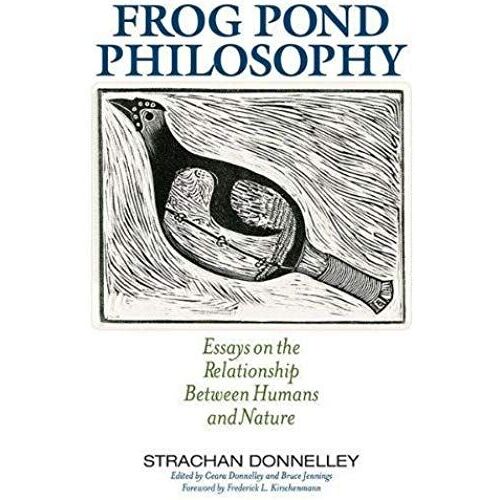 Frog Pond Philosophy