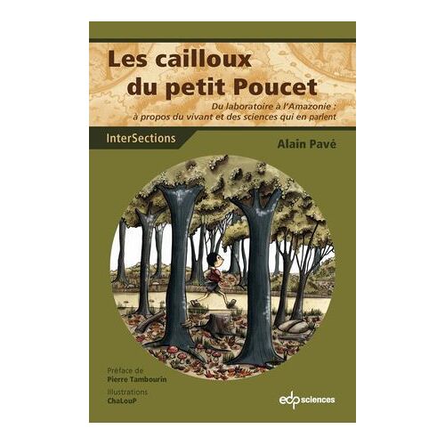 Les Cailloux Du Petit Poucet