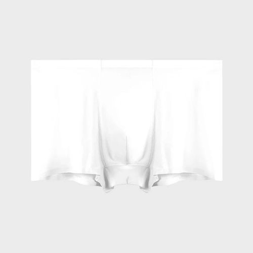 Sous-Vêtements Pour Hommes,Vente En Gros,Boxer En Soie Glacée Sans Couture,Slip Antibactérien,Respirant,Sport D'été,Fin Et Confortable.Blanc.2xl