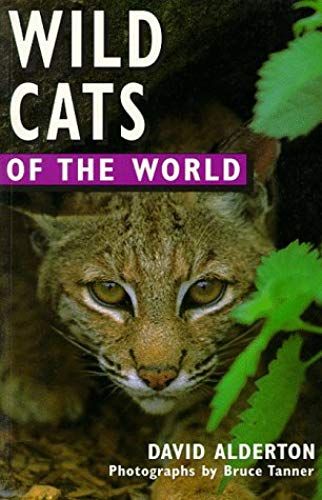 Wild Cats Of The World (Of The World Series)
