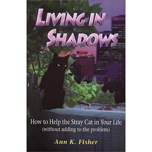 Living In Shadows: How To Help The Stray Cat In Your Life (Without Adding To The Problem)