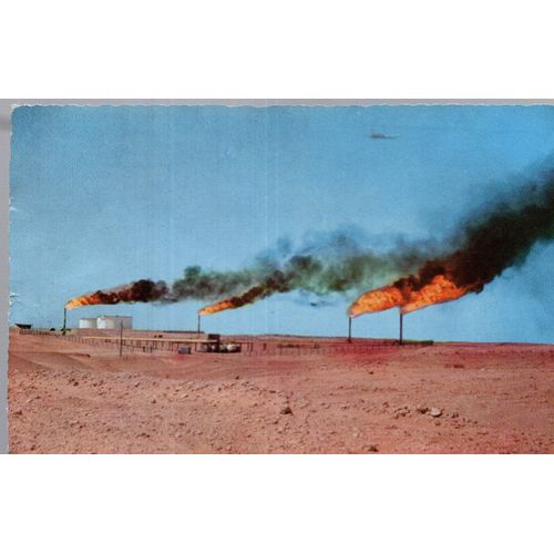 Carte Postale D' Hassi-Messaoud (Algérie) Les Torches D'hassi-Messaoud